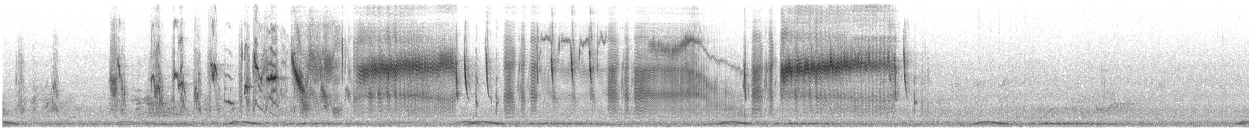 Dorfweber [cucullatus-Gruppe] - ML618403583