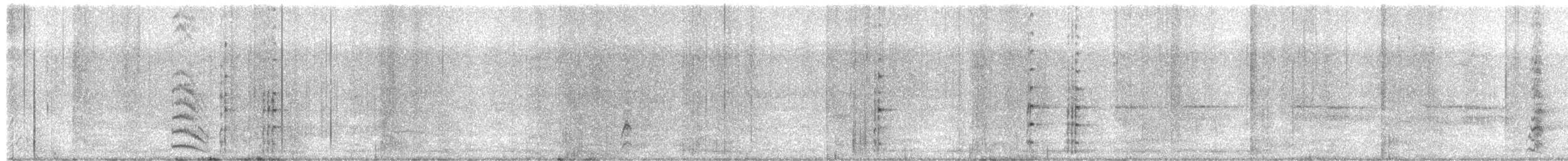 čejka australská (ssp. miles) - ML618404016