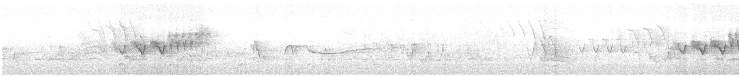 lesňáček modropláštíkový - ML618404783