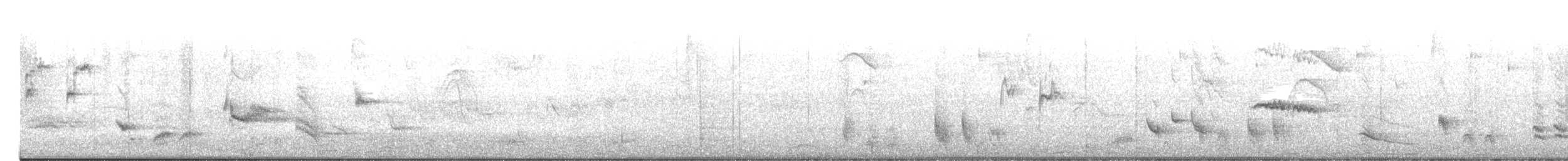 Long-tailed Mockingbird - ML618404962