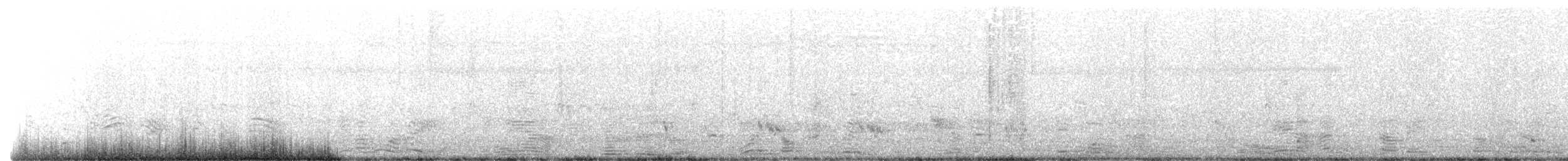 holub chocholatý - ML618406675