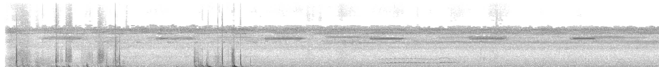 Tropical Screech-Owl - ML618406713