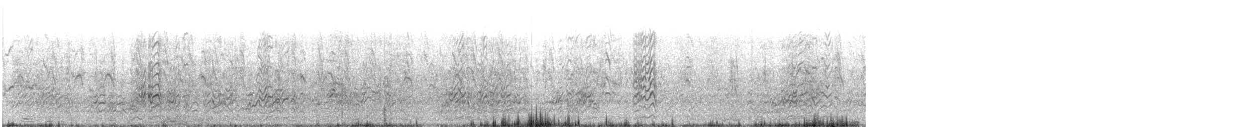 Sooty Tern - ML618407420