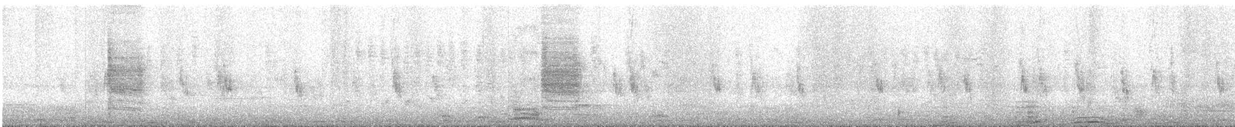 Acrocephalus sp. - ML618412411