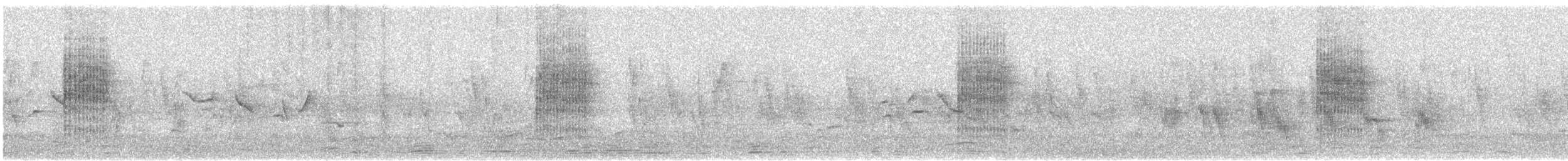 Acrocephalus sp. - ML618412414