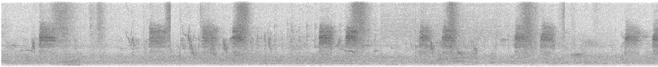 Acrocephalus sp. - ML618412415