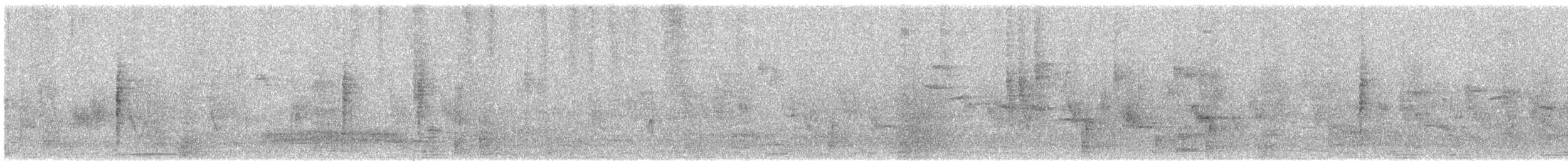 Acrocephalus sp. - ML618412416