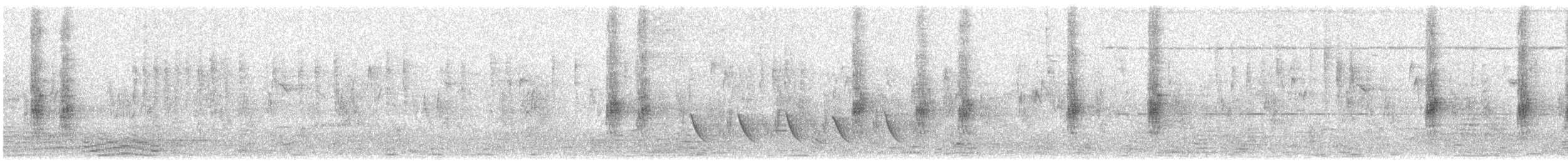 Chestnut-tailed Starling - ML618412449