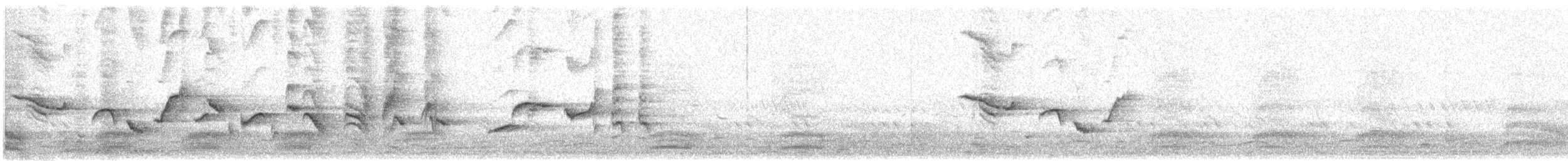 orientskjæreskvett (saularis gr.) - ML618412454