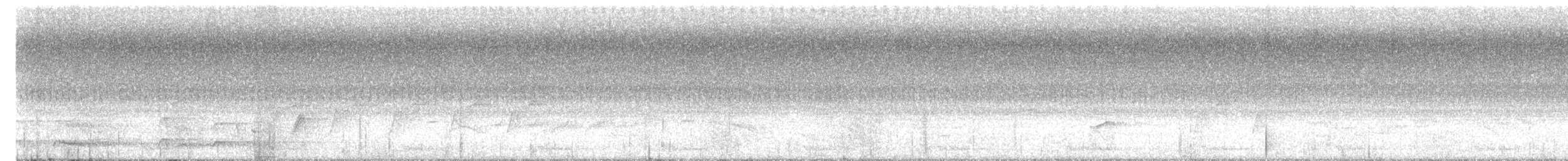 Серый петух - ML618413522