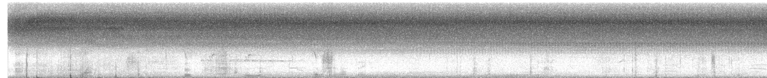 langhaleskredderfugl - ML618413567