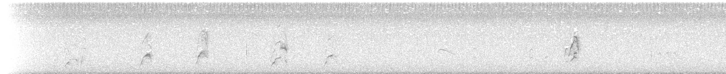 rorýs bělokrký - ML618413695
