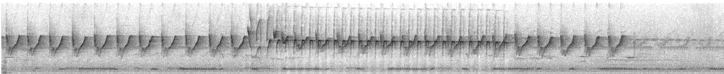 dvergeremomela - ML618413725