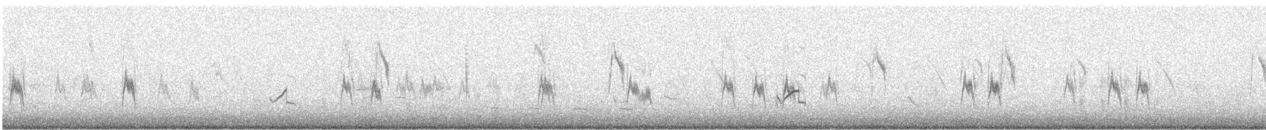 太平洋金斑鴴 - ML618414091