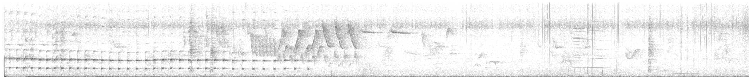 Sora - ML618417556