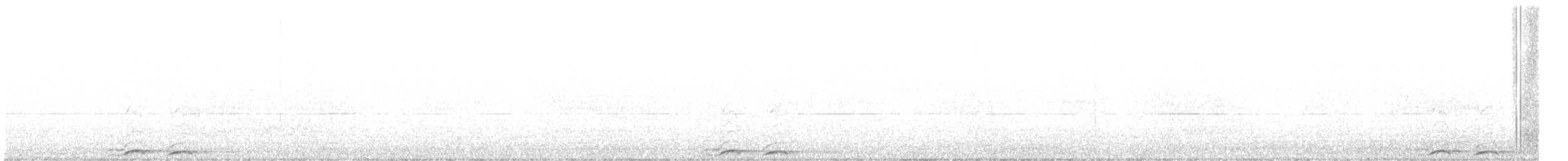 sovka štěkavá - ML618418893