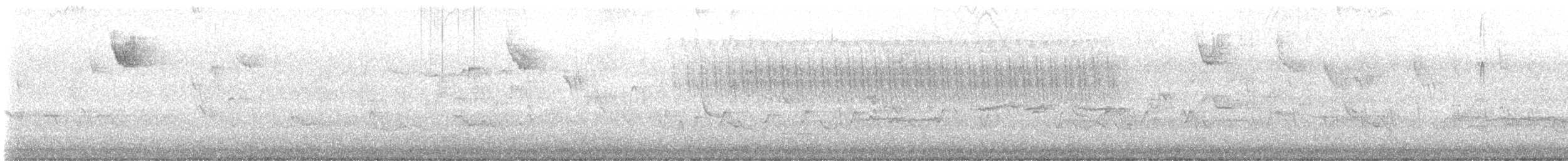 Moucherolle phébi - ML618418931