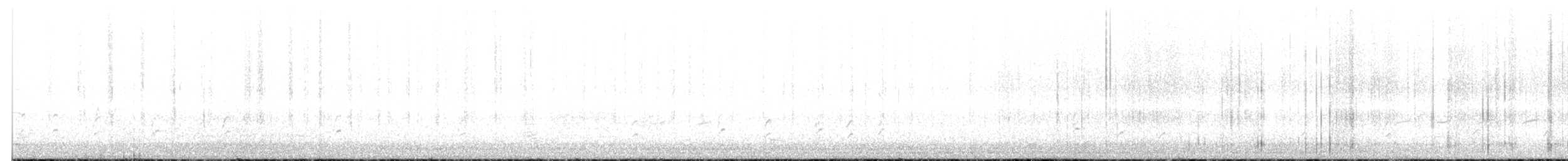 Black-necked Stilt - ML618422135