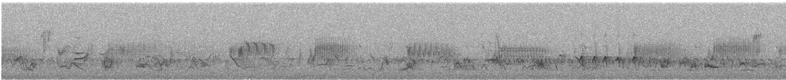 California Thrasher - ML618423042