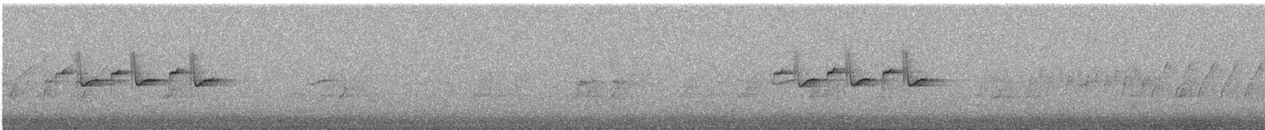 Tannenmeise - ML618423359