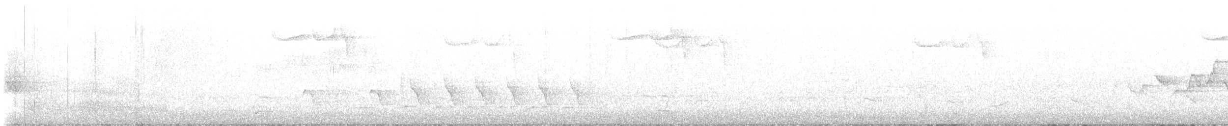 Hooded Warbler - ML618423570