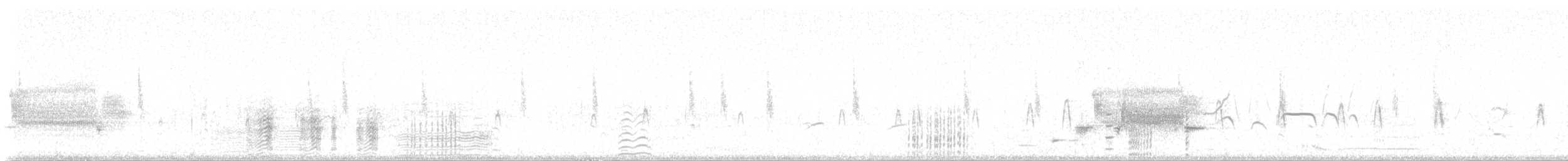 Kara Karınlı Islıkçı Ördek (fulgens) - ML618424139
