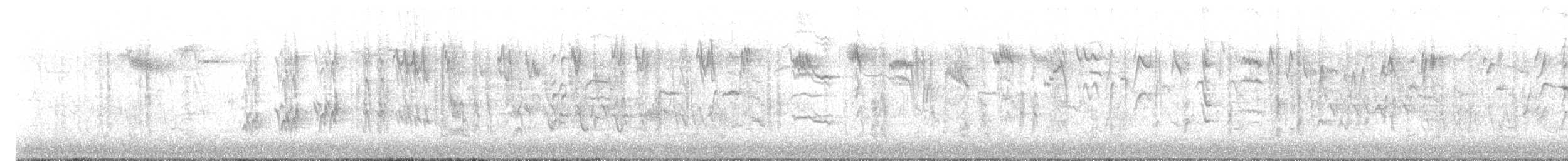 קיכלי לבן-גבה - ML618424987