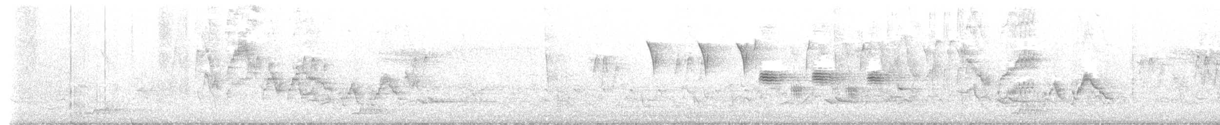 Дрізд-короткодзьоб малий - ML618425606