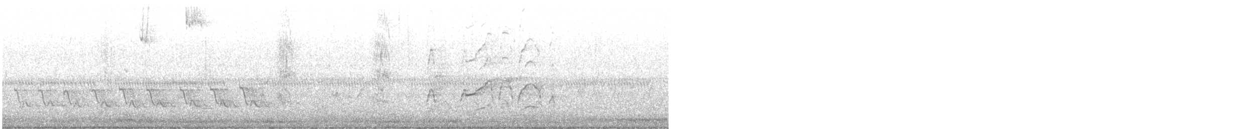 Kara Karınlı Islıkçı Ördek - ML618429934