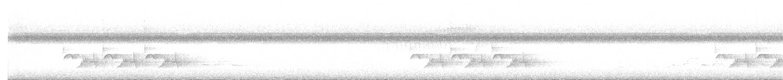Поплітник каролінський - ML618430529