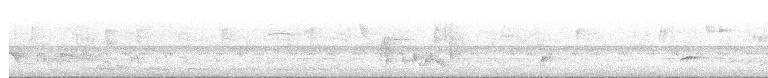 Дрізд-короткодзьоб Cвенсона - ML618432646