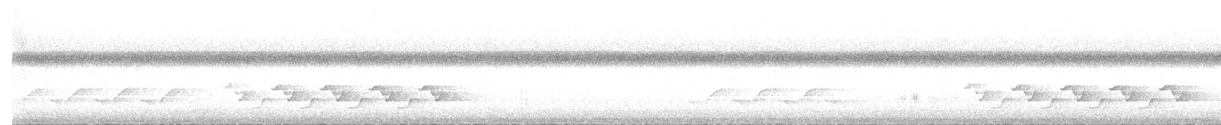 Поплітник каролінський - ML618432863