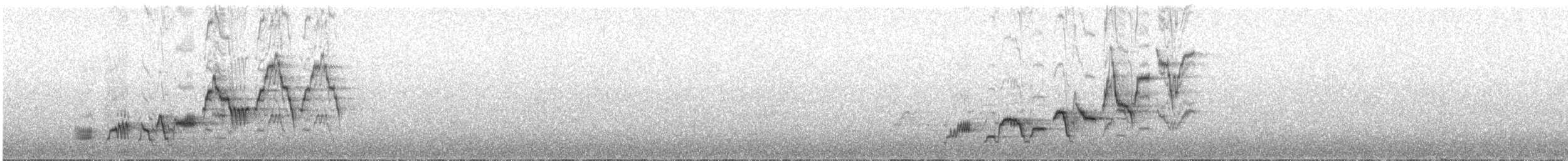 Дрізд-короткодзьоб Cвенсона - ML618437823