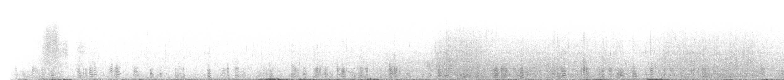 Branta musubeltza (hrota) - ML618438323