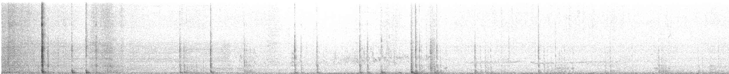 Whimbrel (Hudsonian) - ML618439600