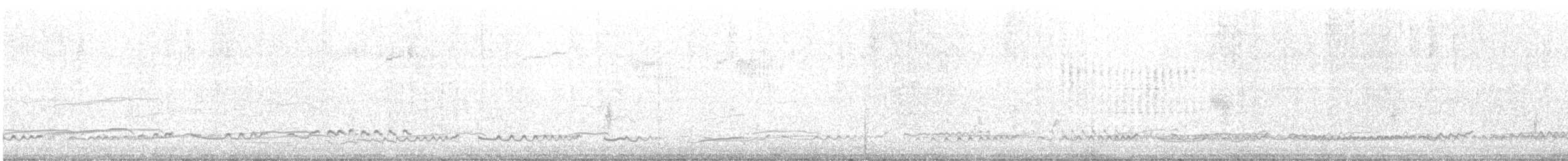 Whimbrel (Hudsonian) - ML618439737