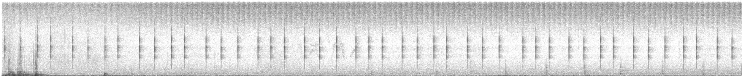 Polluela Amarillenta - ML618439970