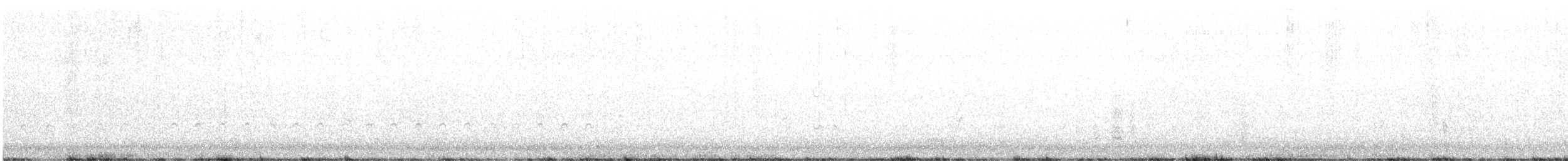 Sürmeli Kervançulluğu (hudsonicus) - ML618440530
