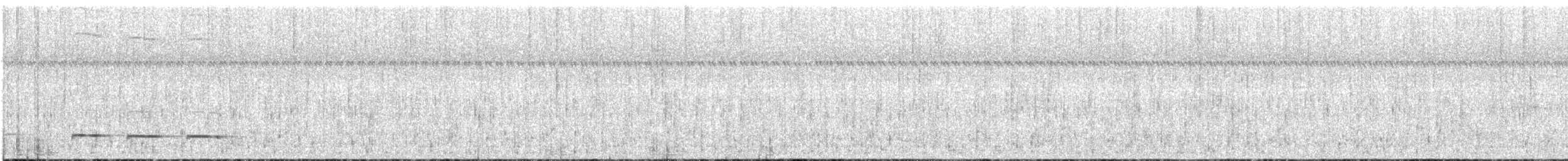 Graubrust-Ameisendrossel - ML618440904