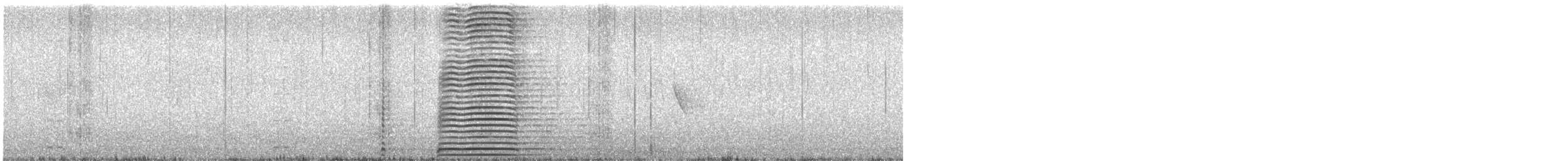 Cisne Trompetero - ML618442885