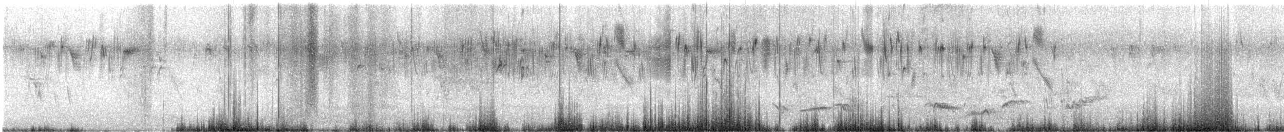 svarttrost - ML618444186