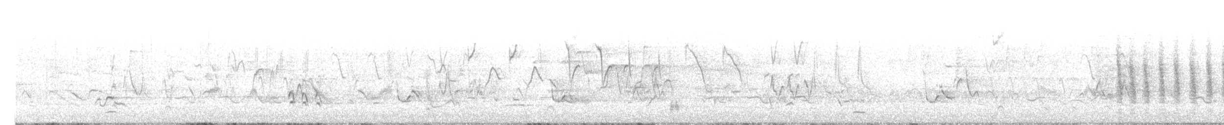 Ictérie polyglotte - ML618444301