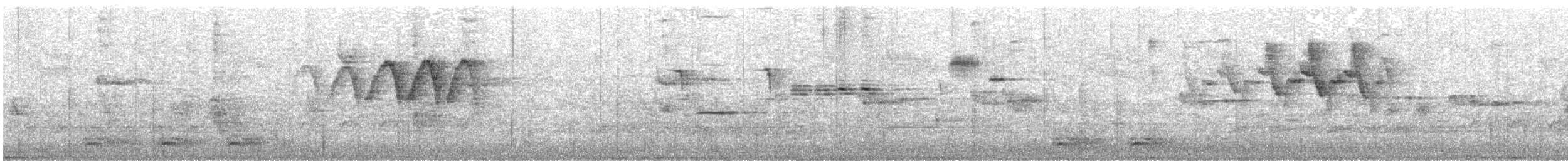 American Redstart - ML618444770