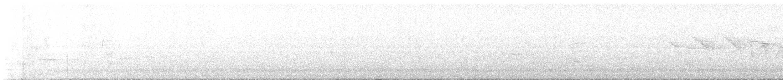Трясогузковый певун - ML618448992