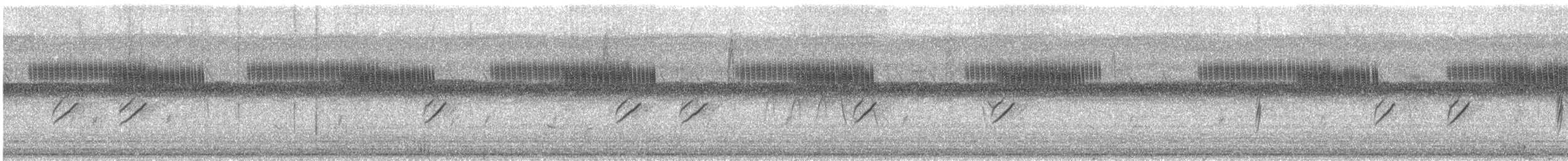 rødnebbamarant - ML618449011