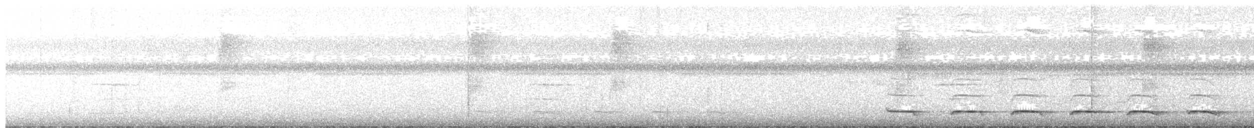 Atlantik Kara Gerdanlı Trogonu - ML618452898