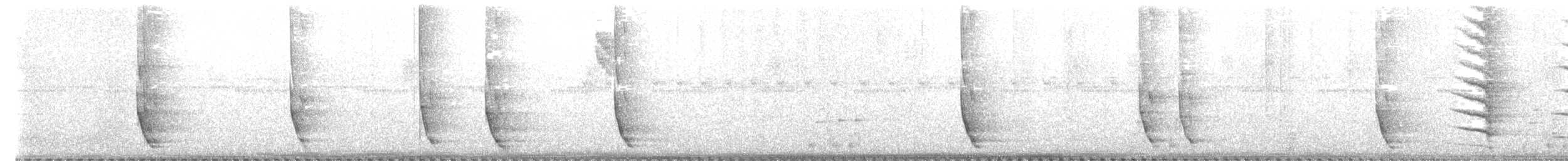 Plush-crested Jay - ML618455643