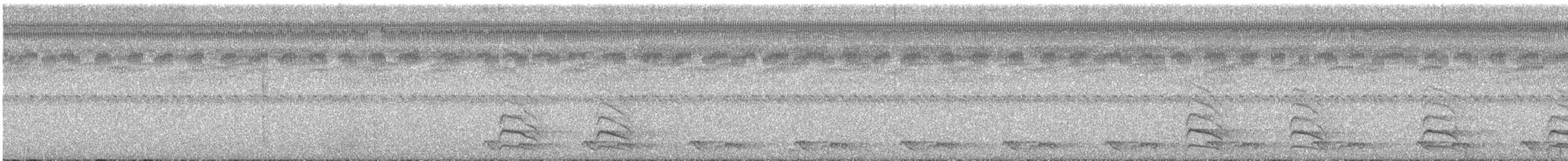 Tawny-collared Nightjar - ML618459241
