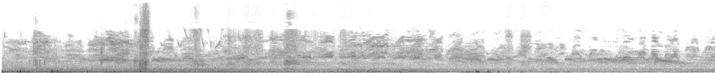 Bonaparte's Gull - ML618459476