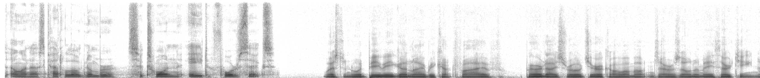 Batılı Tropikal Pivi - ML61846